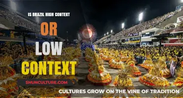 Exploring Brazil's Cultural Context: High or Low?