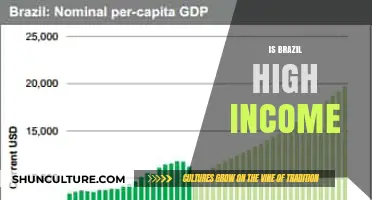 Exploring Brazil's Economic Status: High Income or Not?