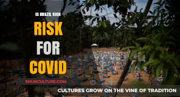 COVID-19 in Brazil: Assessing the Current Risk Level