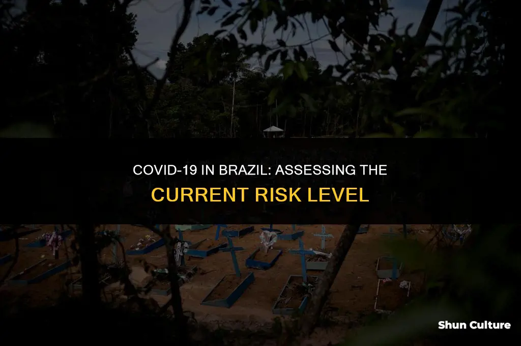 is brazil high risk for covid