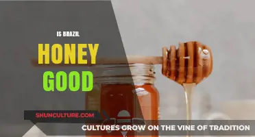 Exploring the Sweetness: Is Brazilian Honey Worth the Hype?