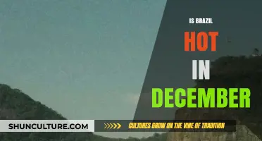 Exploring Brazil's December Climate: Hot or Not?