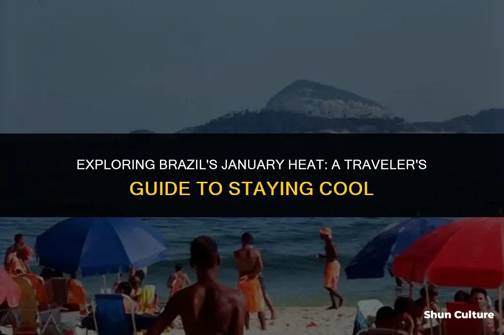 is brazil hot in january