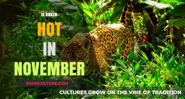Exploring Brazil's November Climate: Hot or Not?