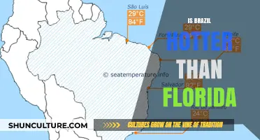 Exploring the Heat: Is Brazil Really Hotter Than Florida?