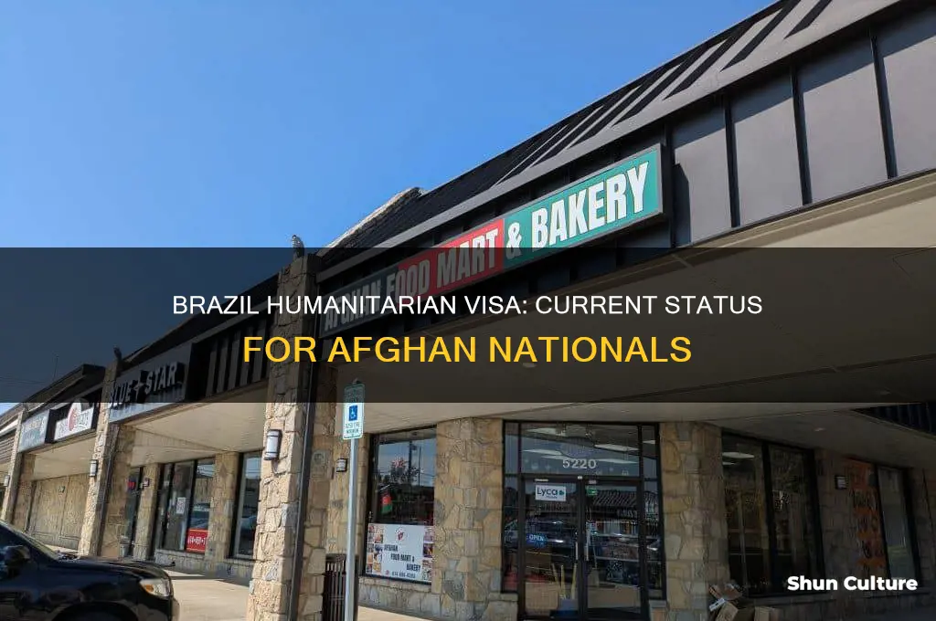 is brazil humanitarian visa open for afghanistan