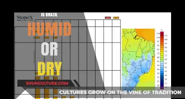 Exploring Brazil's Climate: Humid or Dry?