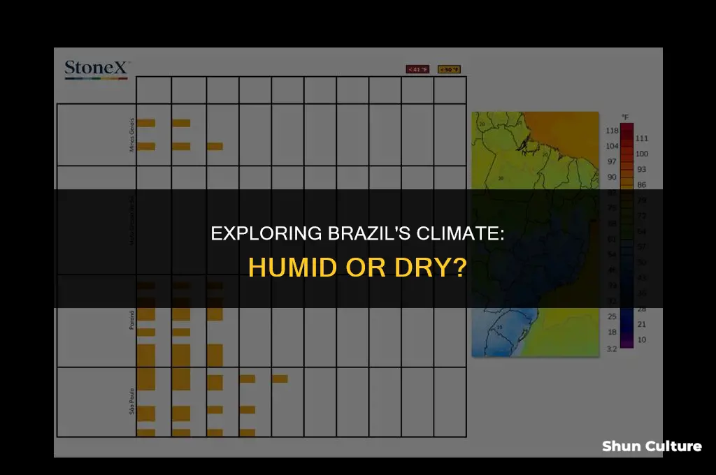 is brazil humid or dry