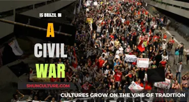 Brazil's Political Turmoil: Civil War or Democracy in Crisis?