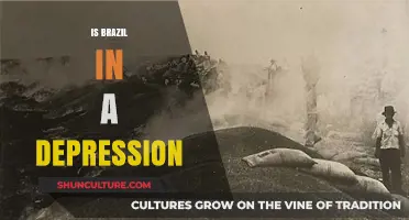 Brazil's Economic Blues: A Closer Look at the Nation's Struggles