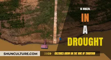 Brazil's Water Crisis: Understanding the Severity of the Drought
