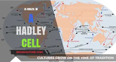 Exploring Brazil's Climate: Hadley Cell Influences and Impacts
