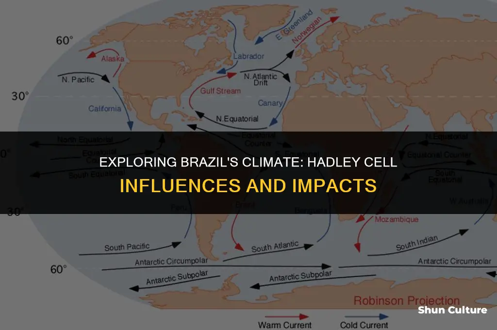 is brazil in a hadley cell