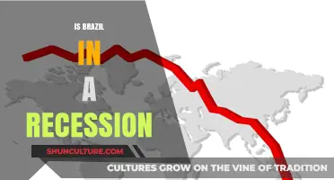 Economic Downturn in Brazil: Recession Fears and Reality Check