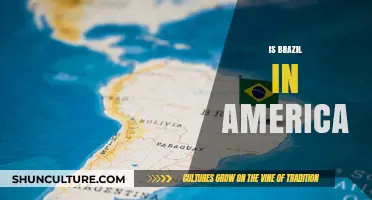 Is Brazil in America? Exploring Geographical and Cultural Connections
