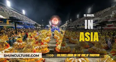 Exploring Cultural Ties: Is Brazil's Heart in Asia?
