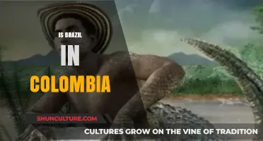 Exploring the Myth: Is Brazil Really Part of Colombia?