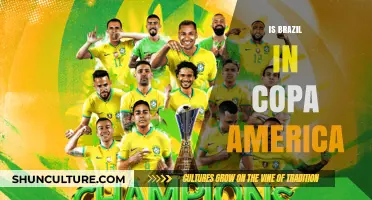 Brazil's Journey in Copa America: A Legacy of Triumphs and Challenges