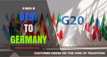 Brazil's Debt Dilemma: Unraveling the Ties with Germany