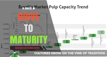 Brazil's Journey to Maturity: Navigating Economic and Social Growth