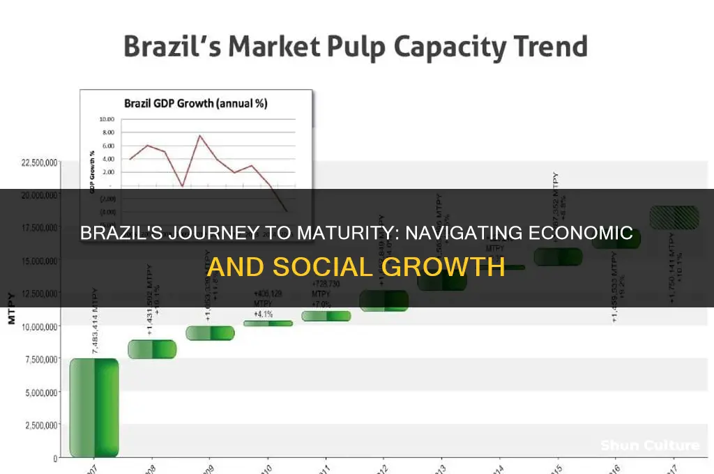 is brazil in drive to maturity