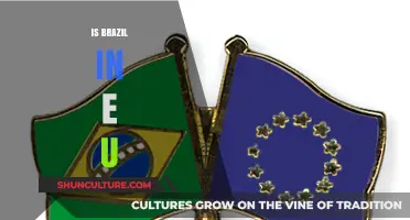 Exploring Brazil's Relationship with the European Union: A Comprehensive Guide