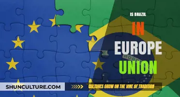 Exploring Brazil's Relationship with the European Union: Facts and Myths