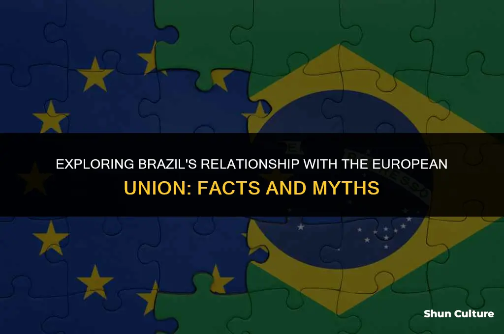 is brazil in europe union