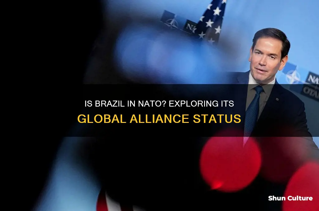 is brazil in nato