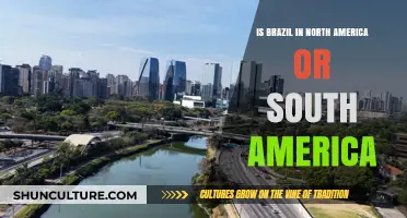 Exploring Brazil's Geographic Identity: North or South America?