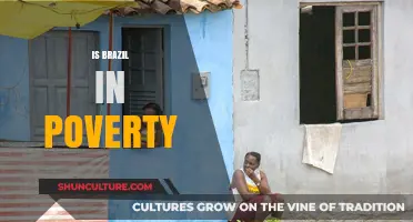 Exploring Brazil's Economic Landscape: Poverty Amidst Progress