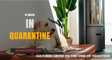 Brazil's Quarantine Status: What You Need to Know
