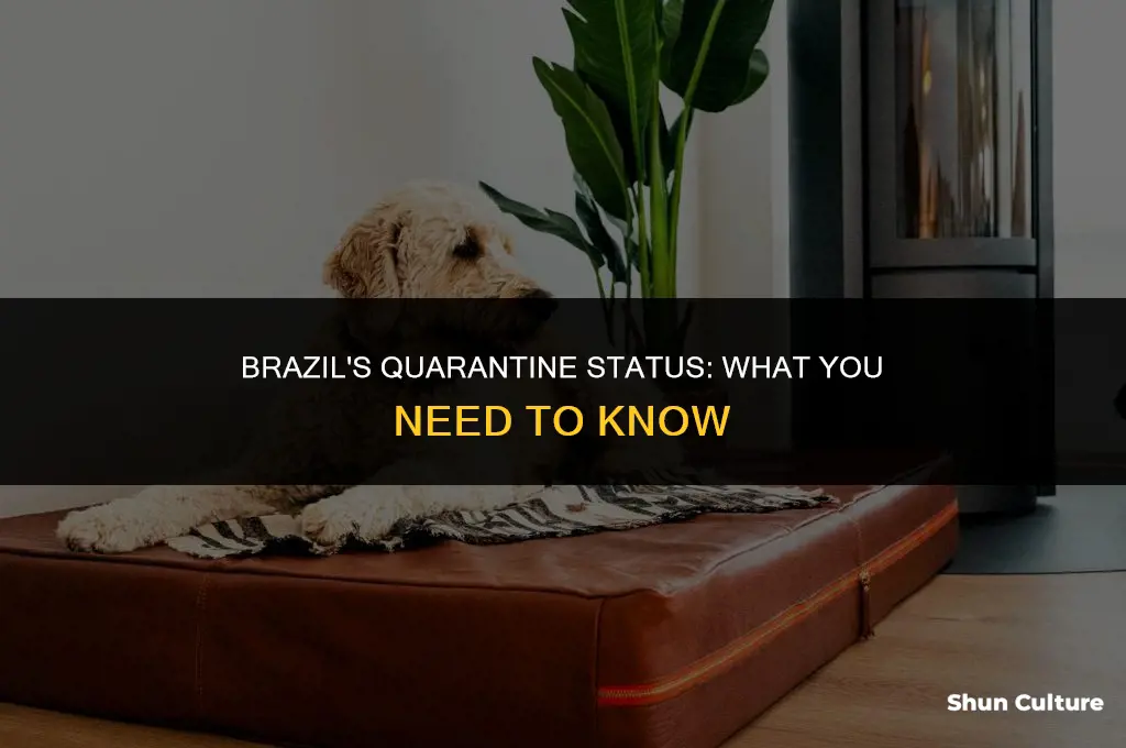 is brazil in quarantine
