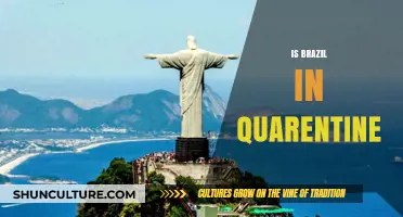 Brazil's Quarantine Status: A Comprehensive Update