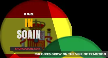 Exploring the Myth: Is Brazil Truly South America's Spain?