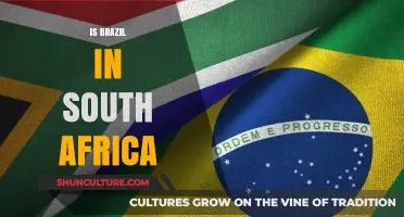 Exploring Cultural Ties: Brazil's Influence in South Africa