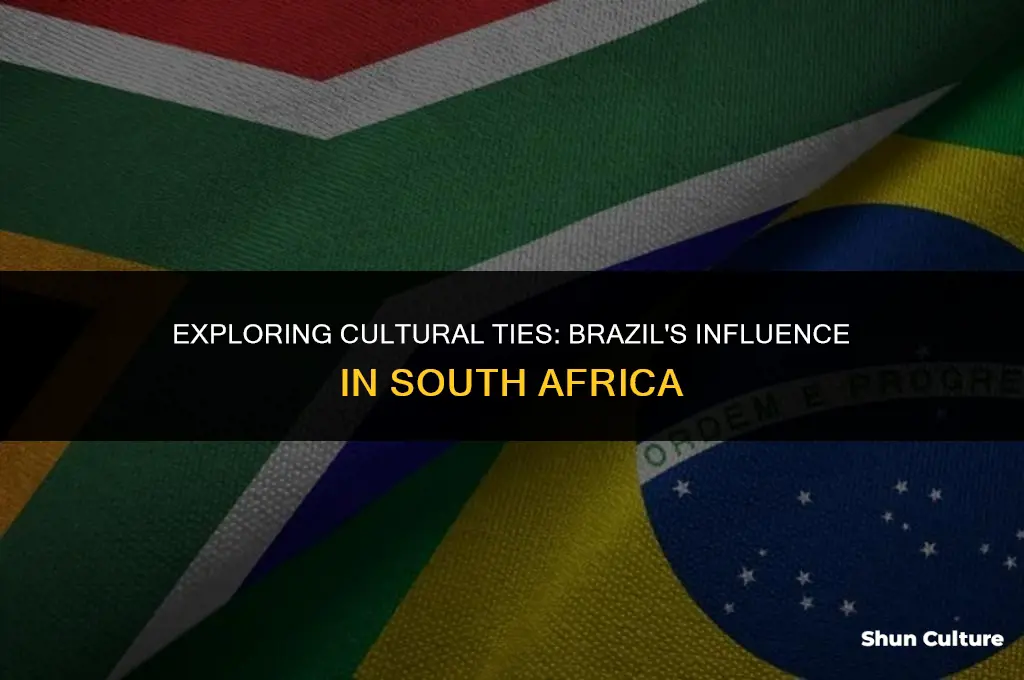 is brazil in south africa