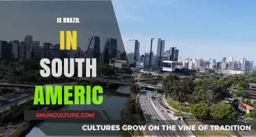 Exploring Brazil's Geographic Identity: South America and Beyond
