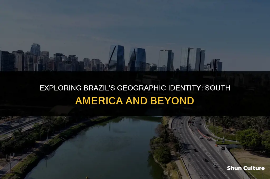 is brazil in south americ