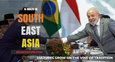 Exploring Brazil's Cultural Ties and Geographic Position Relative to Southeast Asia