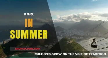 Exploring Brazil's Summer: Myths, Facts, and Travel Tips Unveiled