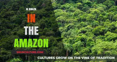 Is Brazil in the Amazon? Exploring the Rainforest's Geographic Ties