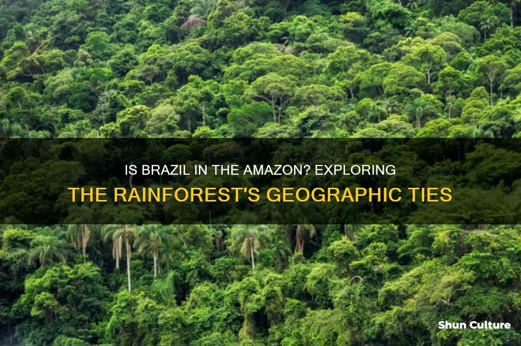 is brazil in the amazon