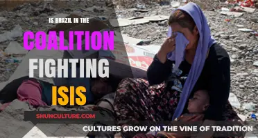 Brazil's Role in the Global Coalition Against ISIS