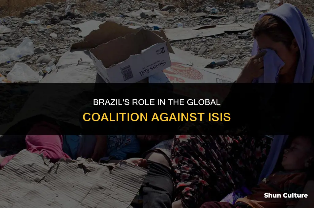 is brazil in the coalition fighting isis