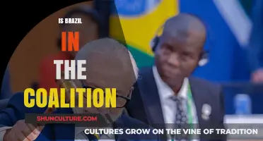 Brazil's Role in the Global Coalition: An In-Depth Analysis