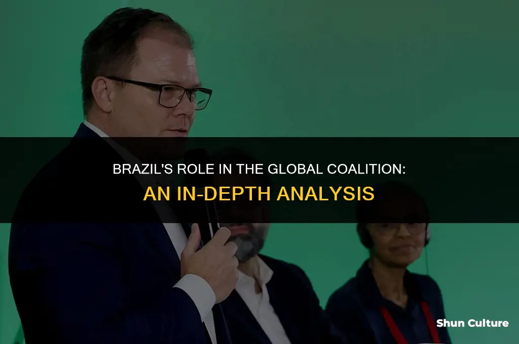 is brazil in the coalition