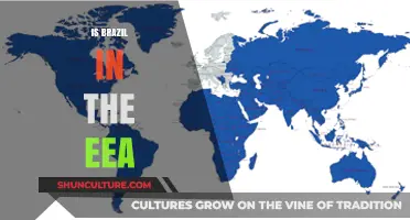 Brazil's Relationship with the EEA: An In-Depth Analysis