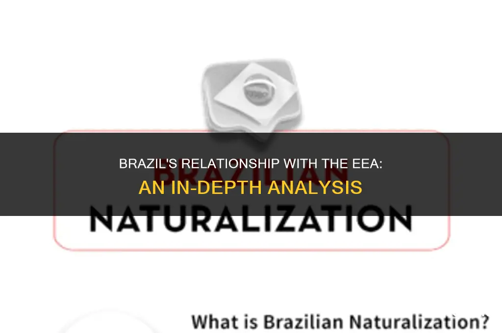 is brazil in the eea