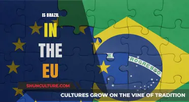 Brazil's Place in the Global Union: EU Membership Explained